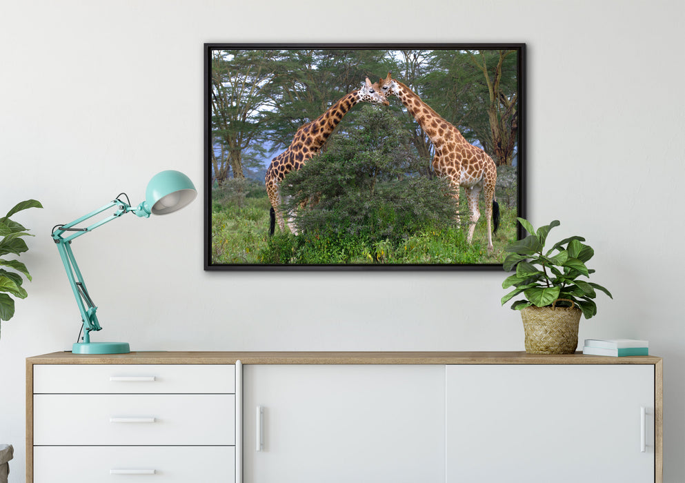 Giraffenpaar in der Savanne auf Leinwandbild gerahmt verschiedene Größen im Wohnzimmer
