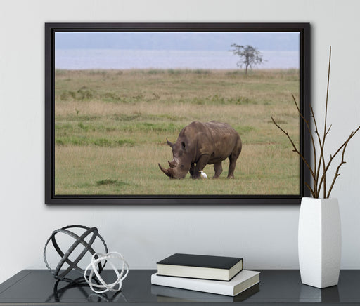 großes Nashorn beim Fressen auf Leinwandbild gerahmt mit Kirschblüten