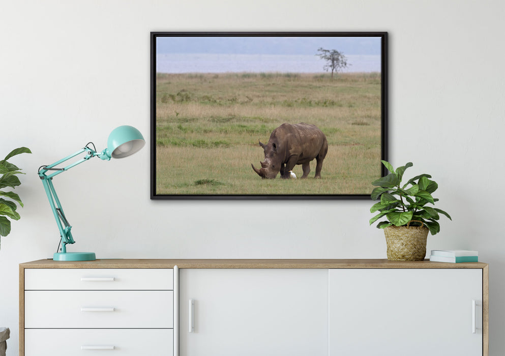 großes Nashorn beim Fressen auf Leinwandbild gerahmt verschiedene Größen im Wohnzimmer