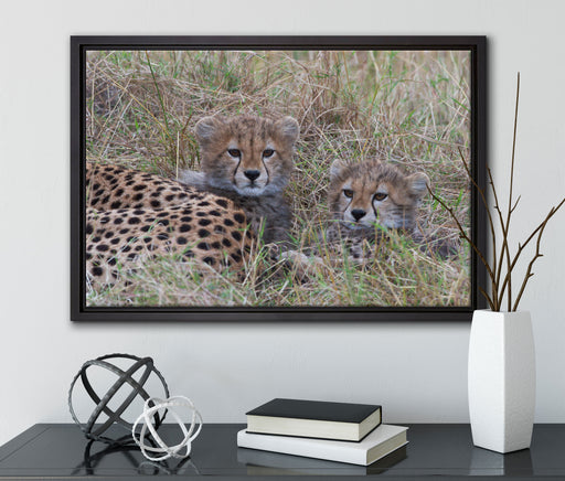 süße junge Geparden im Gras auf Leinwandbild gerahmt mit Kirschblüten