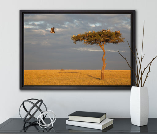 Geierschwarm in der Savanne auf Leinwandbild gerahmt mit Kirschblüten