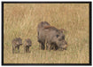 Warzenschweinfamilie Savanne auf Leinwandbild gerahmt Größe 100x70