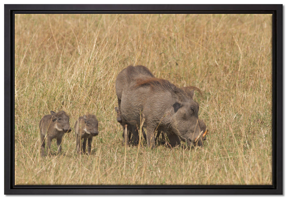 Warzenschweinfamilie Savanne auf Leinwandbild gerahmt Größe 60x40