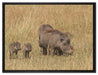 Warzenschweinfamilie Savanne auf Leinwandbild gerahmt Größe 80x60