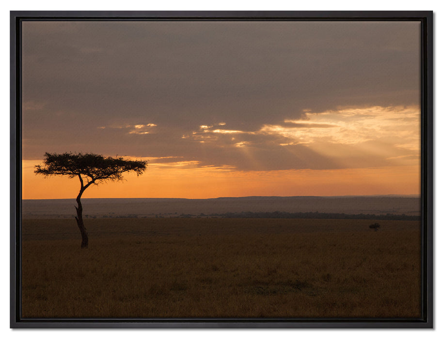 Sonneneinfall in die Savanne auf Leinwandbild gerahmt Größe 80x60