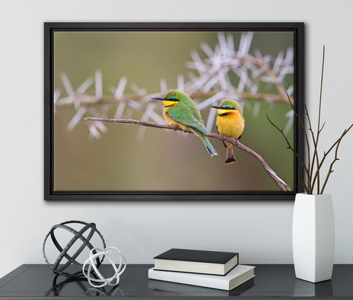 Vögel auf Ast auf Leinwandbild gerahmt mit Kirschblüten