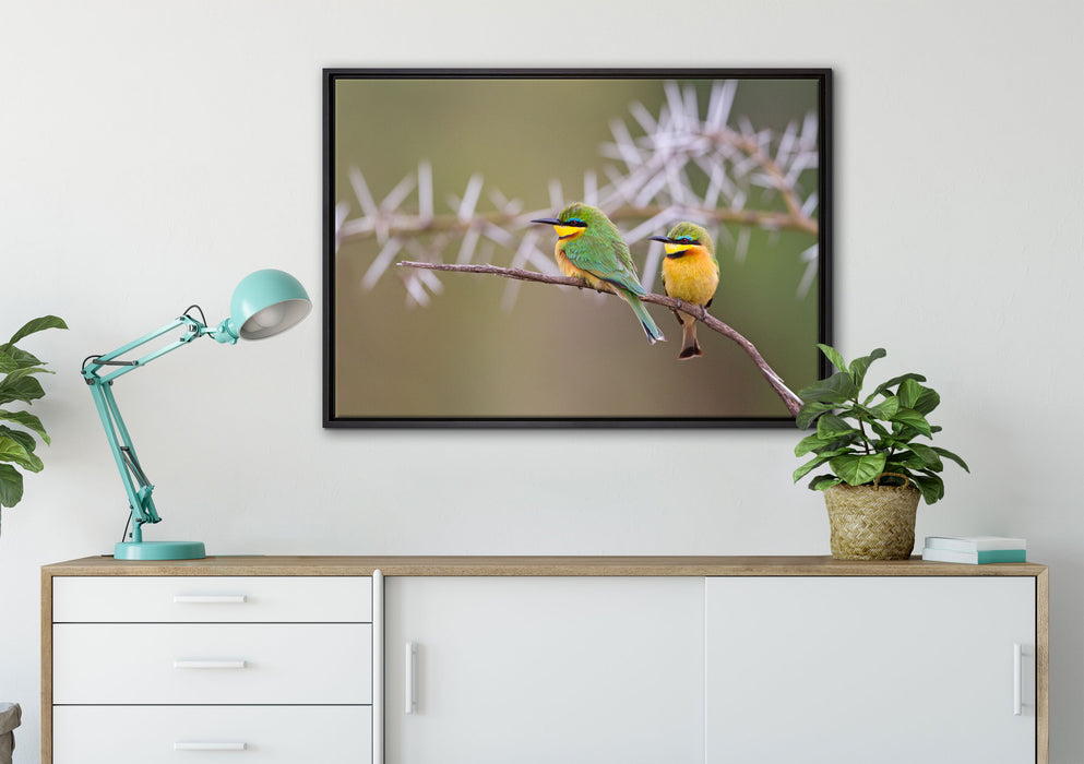 Vögel auf Ast auf Leinwandbild gerahmt verschiedene Größen im Wohnzimmer