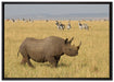großes Nashorn mit Zebrahorde auf Leinwandbild gerahmt Größe 100x70
