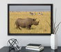 großes Nashorn mit Zebrahorde auf Leinwandbild gerahmt mit Kirschblüten