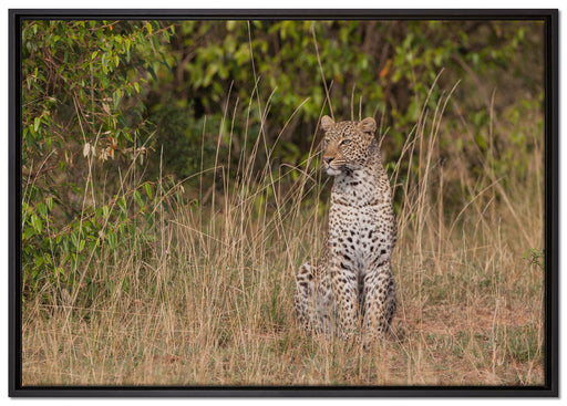 anmutiger Leopard im hohen Gras auf Leinwandbild gerahmt Größe 100x70