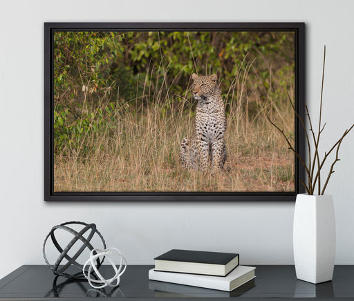 anmutiger Leopard im hohen Gras auf Leinwandbild gerahmt mit Kirschblüten