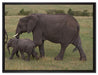 wandernde Elefantenfamilie auf Leinwandbild gerahmt Größe 80x60