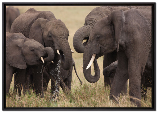 Elefantenhorde am Wasserloch auf Leinwandbild gerahmt Größe 100x70