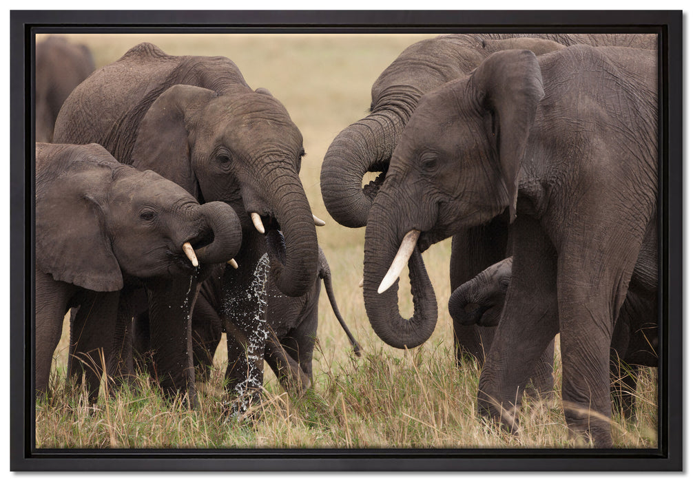 Elefantenhorde am Wasserloch auf Leinwandbild gerahmt Größe 60x40