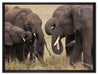Elefantenhorde am Wasserloch auf Leinwandbild gerahmt Größe 80x60