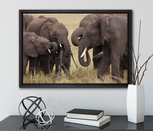 Elefantenhorde am Wasserloch auf Leinwandbild gerahmt mit Kirschblüten