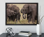 Elefantenhorde am Wasserloch auf Leinwandbild gerahmt mit Kirschblüten