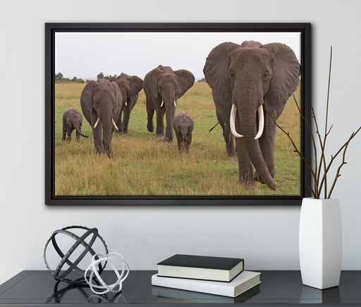 große wandernde Elefantenhorde auf Leinwandbild gerahmt mit Kirschblüten