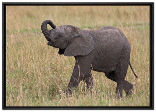 kleines Elefantenjunges auf Leinwandbild gerahmt Größe 100x70