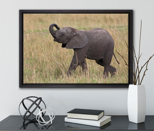 kleines Elefantenjunges auf Leinwandbild gerahmt mit Kirschblüten