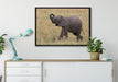 kleines Elefantenjunges auf Leinwandbild gerahmt verschiedene Größen im Wohnzimmer