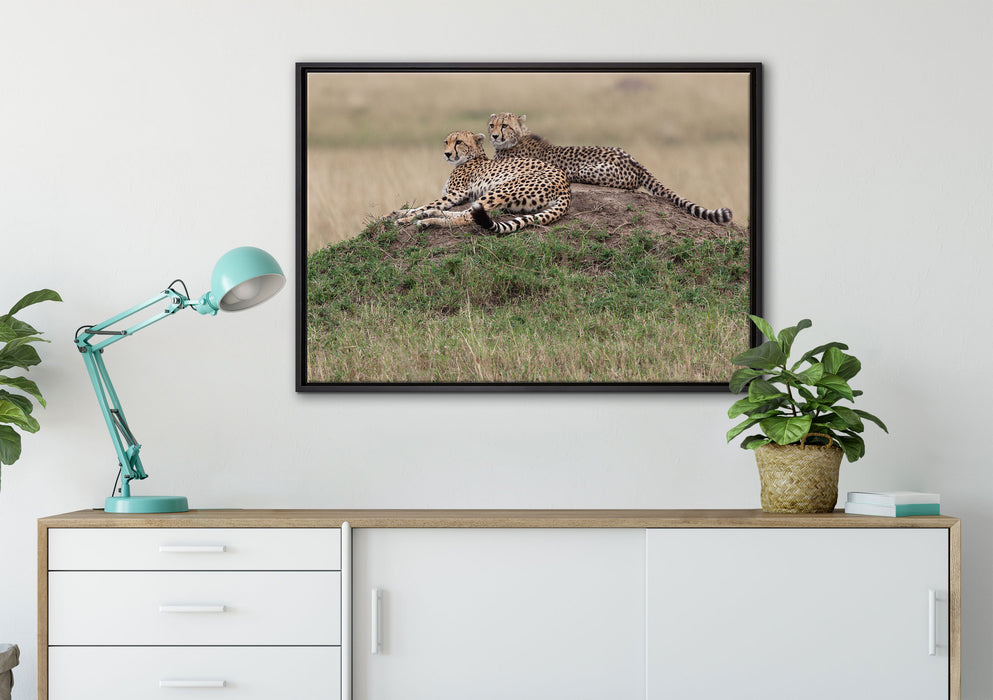 majestätische Geparden auf Stein auf Leinwandbild gerahmt verschiedene Größen im Wohnzimmer