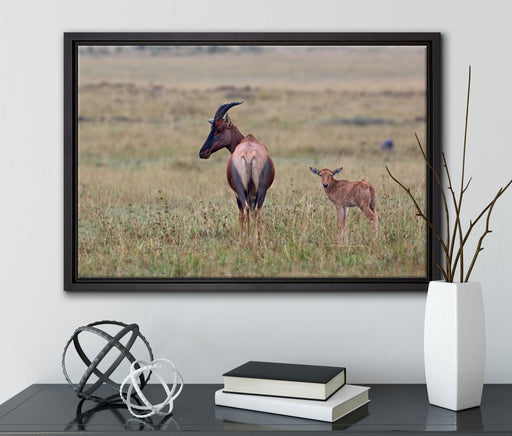rote Kuhantilope mit Jungtier auf Leinwandbild gerahmt mit Kirschblüten
