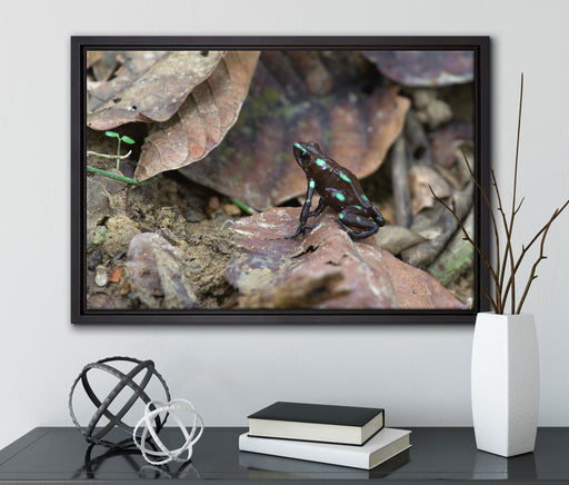 Baumsteiger Frosch auf Leinwandbild gerahmt mit Kirschblüten