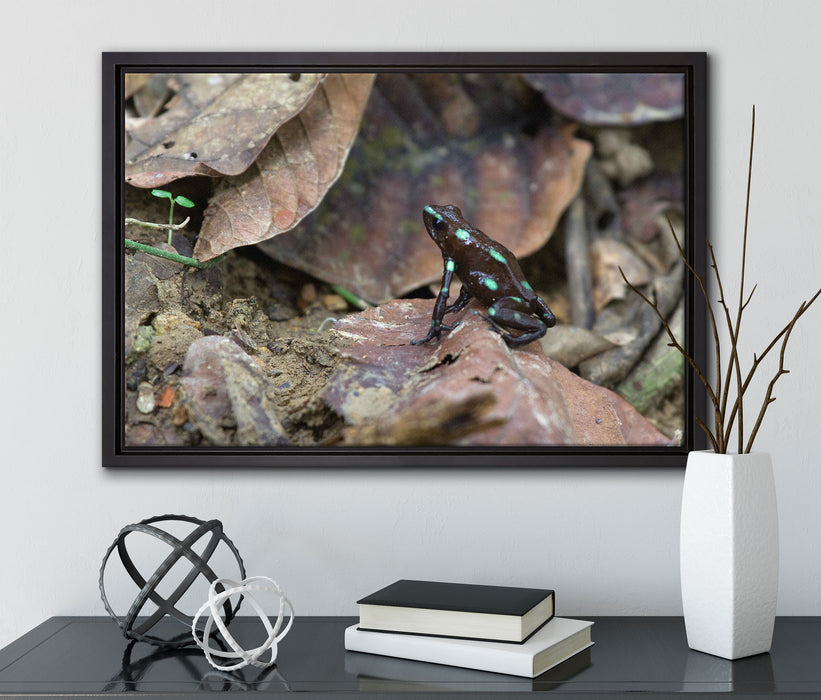 Baumsteiger Frosch auf Leinwandbild gerahmt mit Kirschblüten