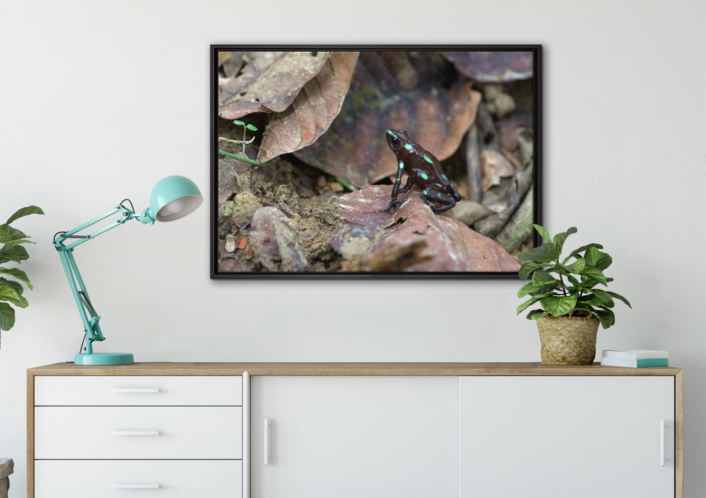 Baumsteiger Frosch auf Leinwandbild gerahmt verschiedene Größen im Wohnzimmer