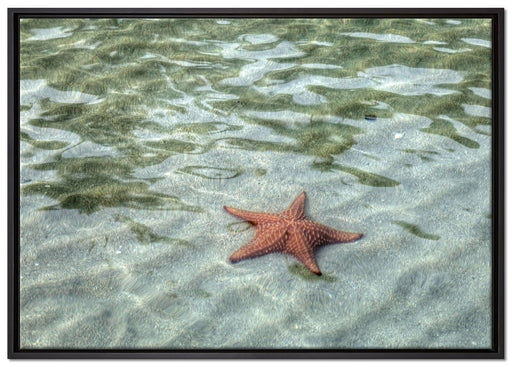 Seestern im klaren Wasser auf Leinwandbild gerahmt Größe 100x70