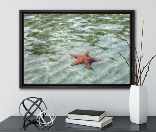 Seestern im klaren Wasser auf Leinwandbild gerahmt mit Kirschblüten