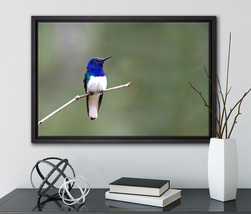 kleiner farbenfroher Vogel auf Leinwandbild gerahmt mit Kirschblüten