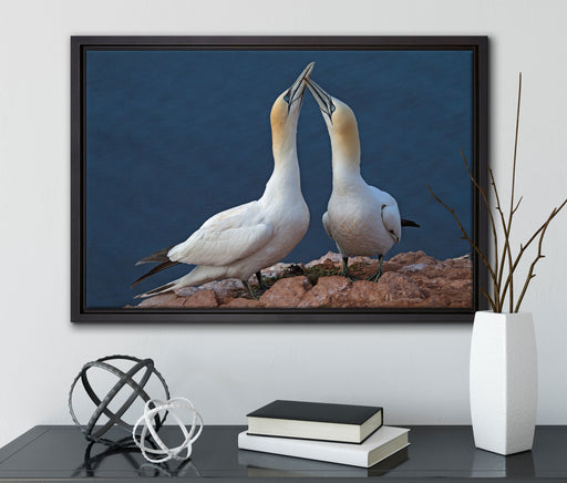 außergewöhnliche Vögel am Meer auf Leinwandbild gerahmt mit Kirschblüten