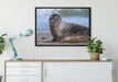 niedliche Robbe am Strand auf Leinwandbild gerahmt verschiedene Größen im Wohnzimmer