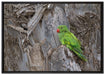 grüner Papagei im Gehölz auf Leinwandbild gerahmt Größe 100x70