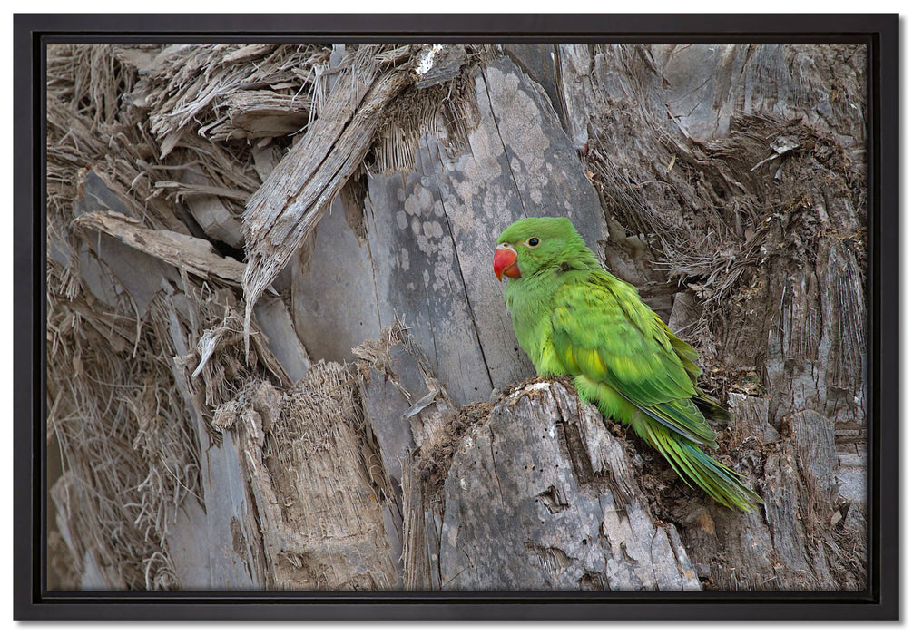 grüner Papagei im Gehölz auf Leinwandbild gerahmt Größe 60x40