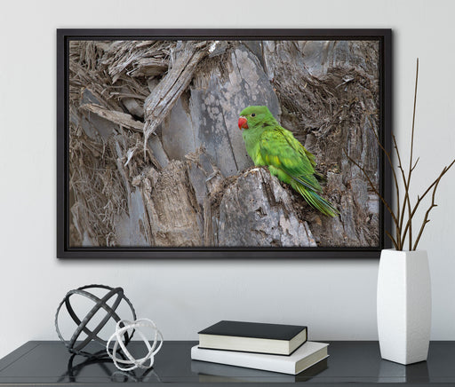 grüner Papagei im Gehölz auf Leinwandbild gerahmt mit Kirschblüten