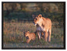 Löwenmutter mit Jungtieren auf Leinwandbild gerahmt Größe 80x60