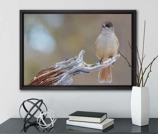 kleiner Vogel auf Ast auf Leinwandbild gerahmt mit Kirschblüten