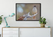 kleiner Vogel auf Ast auf Leinwandbild gerahmt verschiedene Größen im Wohnzimmer