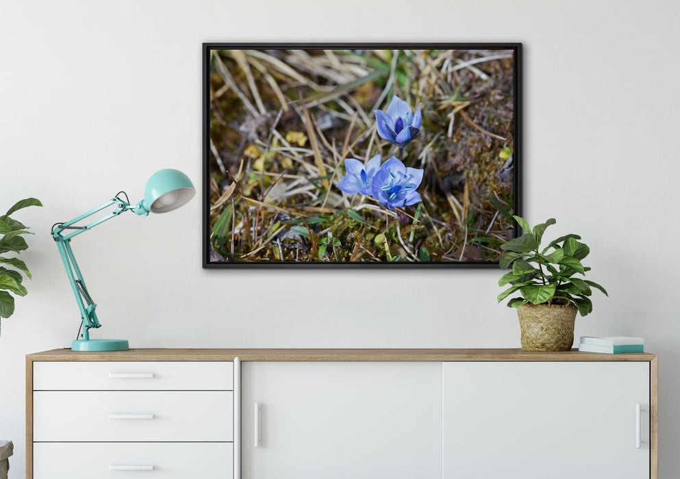 Kleine süße Blaue Blume auf Leinwandbild gerahmt verschiedene Größen im Wohnzimmer
