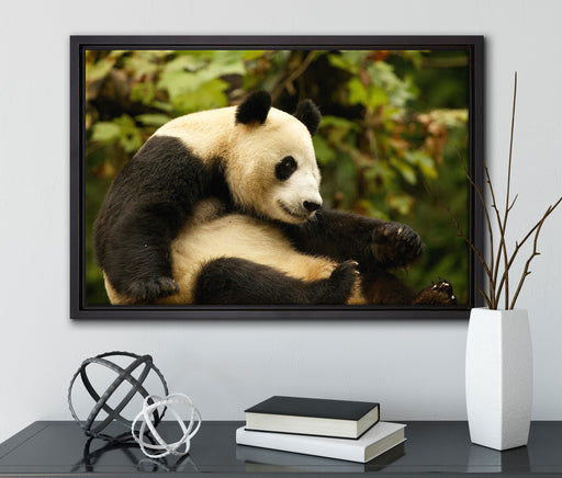 niedlicher Pandabär auf Leinwandbild gerahmt mit Kirschblüten