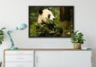 Pandabär beim Fressen auf Leinwandbild gerahmt verschiedene Größen im Wohnzimmer
