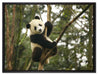 niedlicher Pandabär auf Baum auf Leinwandbild gerahmt Größe 80x60