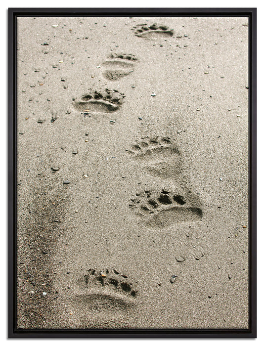 Tierspuren im Sand auf Leinwandbild gerahmt Größe 80x60