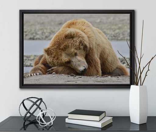 Bär am Sandstrand auf Leinwandbild gerahmt mit Kirschblüten