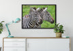 schönes Zebrapaar auf Leinwandbild gerahmt verschiedene Größen im Wohnzimmer