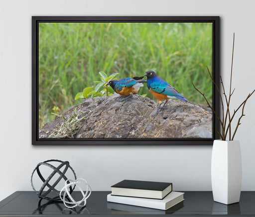 Vögel auf einem Stein auf Leinwandbild gerahmt mit Kirschblüten