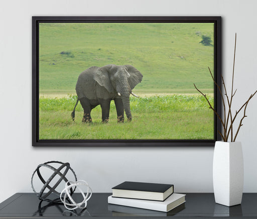 gigantischer Elefant im Gras auf Leinwandbild gerahmt mit Kirschblüten